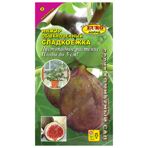 Инжир обыкновенный Сладкоежка "Комнатный сад" 0.01г (Аэлита)