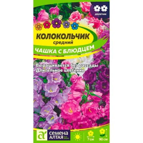 Колокольчик средний Чашка с блюдцем 0.1г (Семена Алтая)