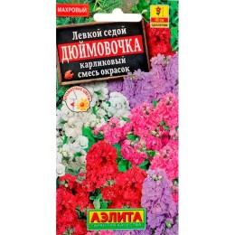 Левкой седой Дюймовочка карликовый смесь сортов 0.1г (Аэлита)