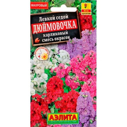Левкой седой Дюймовочка карликовый смесь сортов 0.1г (Аэлита)