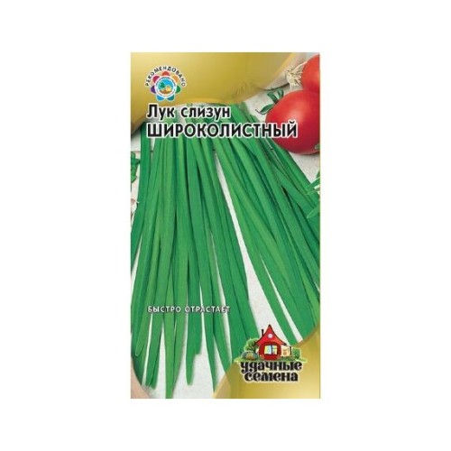 Лук слизун Широколистный 2г (Удачные семена)