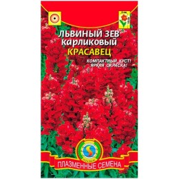 Львиный Зев Карликовый красавец (Плазмас)