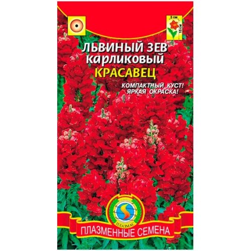 Львиный Зев Карликовый красавец (Плазмас)