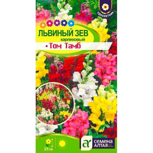 Львиный зев карликовый Том Тамб 0.1г (Семена Алтая)