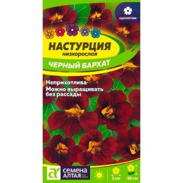 Настурция низкорослая Черный бархат 0.5г (Семена Алтая)