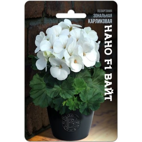 Пеларгония зональная карликовая Нано Вайт F1 5 шт (Биотехника)