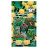 Перец кустарниковый Огонёк, смесь сортов 0.05г (СеДеК)
