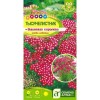 Тысячелистник Вишневая королева 0.1г (Семена Алтая)