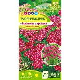 Тысячелистник Вишневая королева 0.1г (Семена Алтая)