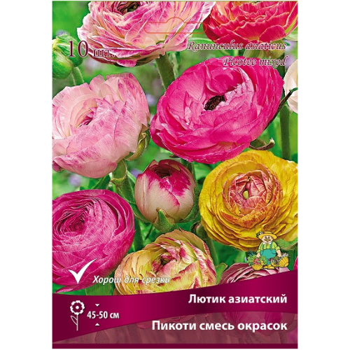 Лютик Пикоти, смесь окрасок 10 шт (Поиск)