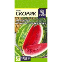 Арбуз Скорик 1г (Семена Алтая)