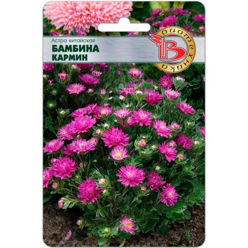 Астра китайская Бамбина Кармин 20шт (Биотехника)