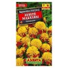 Бархатцы (тагетес отклоненный) Золото Маккены 0.3г (Аэлита)