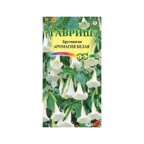 Бругмансия древовидная Аромагия белая 3шт (Гавриш)