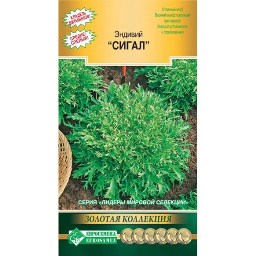 Эндивий Сигал "Золотая коллекция" 8шт (Евросемена)