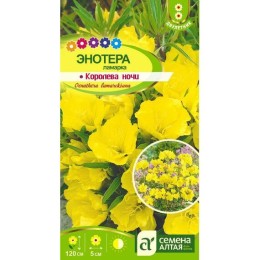 Энотера Ламарка Королева ночи 0.3г (Семена Алтая)