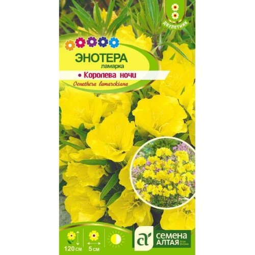 Энотера Ламарка Королева ночи 0.3г (Семена Алтая)