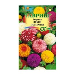 Георгина культурная Яркие помпоны 0.2г (Гавриш)