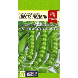 Горох лущильный Шесть недель 10г (Семена Алтая)