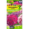 Гвоздика турецкая Пиноккио смесь 0.1г (Семена Алтая)