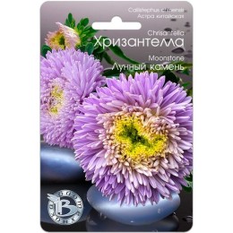 Астра китайская Хризантелла Лунный камень 30шт (Биотехника)