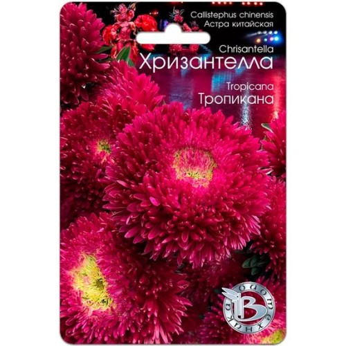Астра китайская Хризантелла Тропикана 30шт (Биотехника)