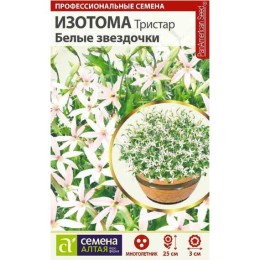 Изотома Тристар Белые Звездочки 5шт (Семена Алтая)