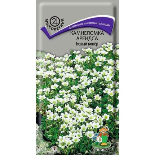 Камнеломка Арендса Белый ковер 0.01г (Поиск)