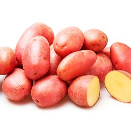 Картофель Беллароза 1кг (РусЕвроплант)