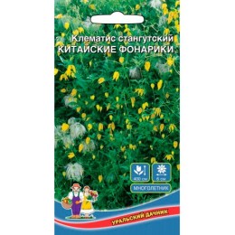 Клематис стангутский Китайские фонарики 12шт (Урольский дачник)