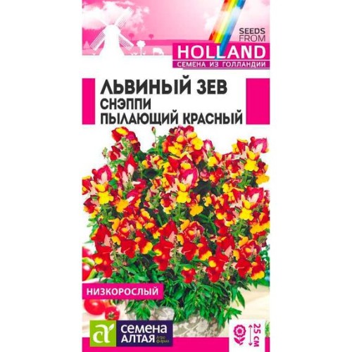 Львиный зев Снэппи Пылающий красный "Семена из Голландии" 7шт (Семена Алтая)