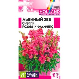 Львиный зев Снэппи Розовый Фламинго "Семена из Голландии" 7шт (Семена Алтая)