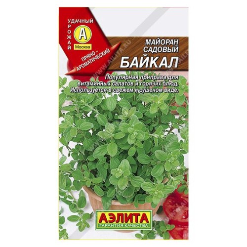 Майоран садовый Байкал 0.1г (Аэлита)