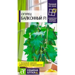 Огурец Балконный F1 "Урожай на окне" 5шт (Семена Алтая)