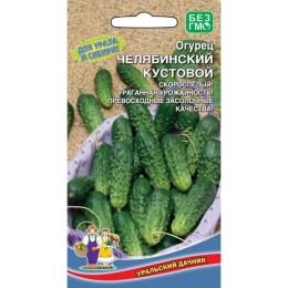 Огурец Челябинский кустовой 12шт (Уральский дачник)