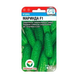 Огурец Маринда F1 7шт (Сибирский Сад)