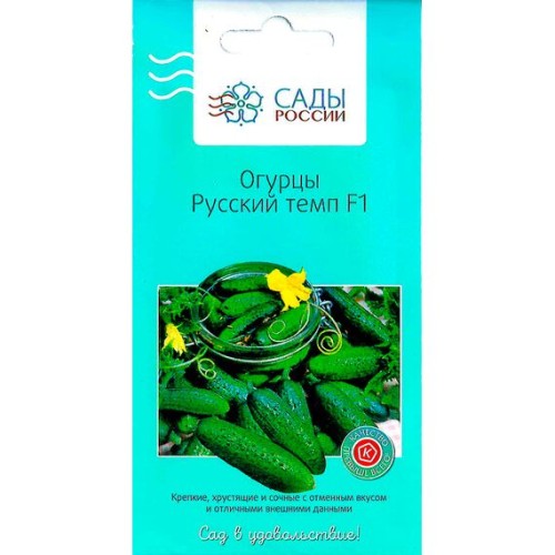 Огурцы Русский темп F1 12шт (Сады России)