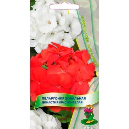 Пеларгония зональная Династия Красно-белая 5шт (Поиск)