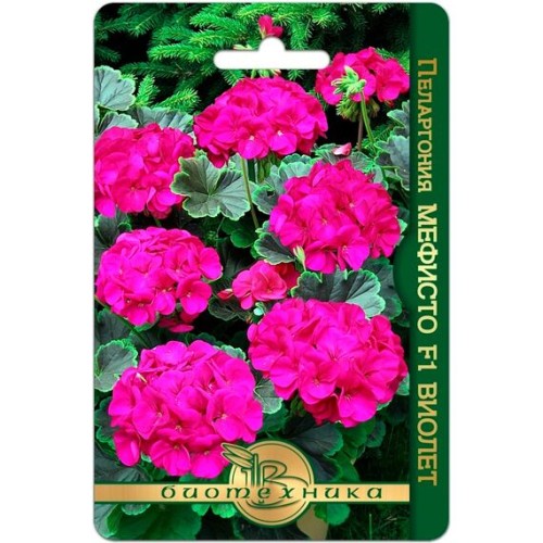 Пеларгония Мефисто F1 Виолет 5шт (Биотехника)
