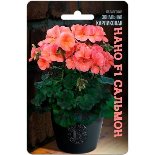 Пеларгония карликовая Нано F1 Сальмон 5шт (Биотехника)