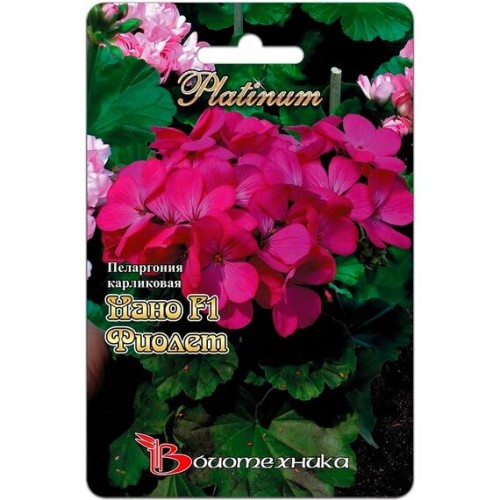 Пеларгония карликовая Нано F1 Виолет 5шт (Биотехника)