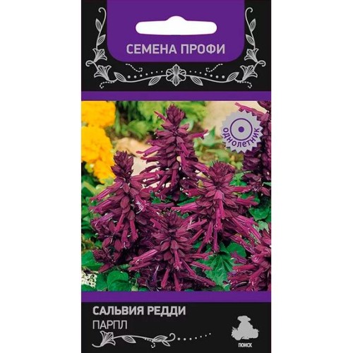 Сальвия Редди Парпл "Семена профи" 10шт (Поиск)