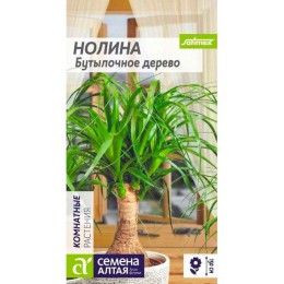 Нолина Бутылочное дерево 3шт (Семена Алтая)