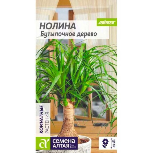Нолина Бутылочное дерево 3шт (Семена Алтая)