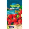Земляника ананасная Фреска F1 5шт (Семена Алтая)