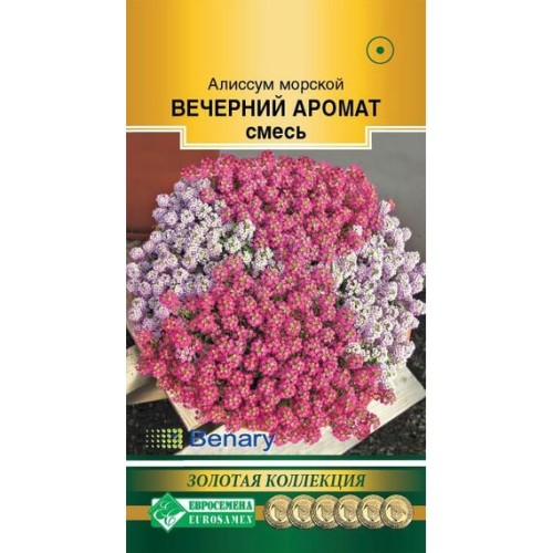 Алиссум морской Вечерний Аромат смесь "Золотая коллекция" 10шт (Евросемена)
