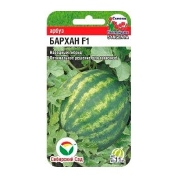 Арбуз Бархан F1 4шт (Сибирский Сад)