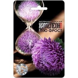 Астра китайская Хамелеон Блю Фрост 30шт (Биотехника)