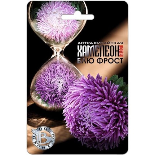 Астра китайская Хамелеон Блю Фрост 30шт (Биотехника)