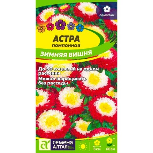 Астра помпонная Зимняя вишня 0.2г (Семена Алтая)